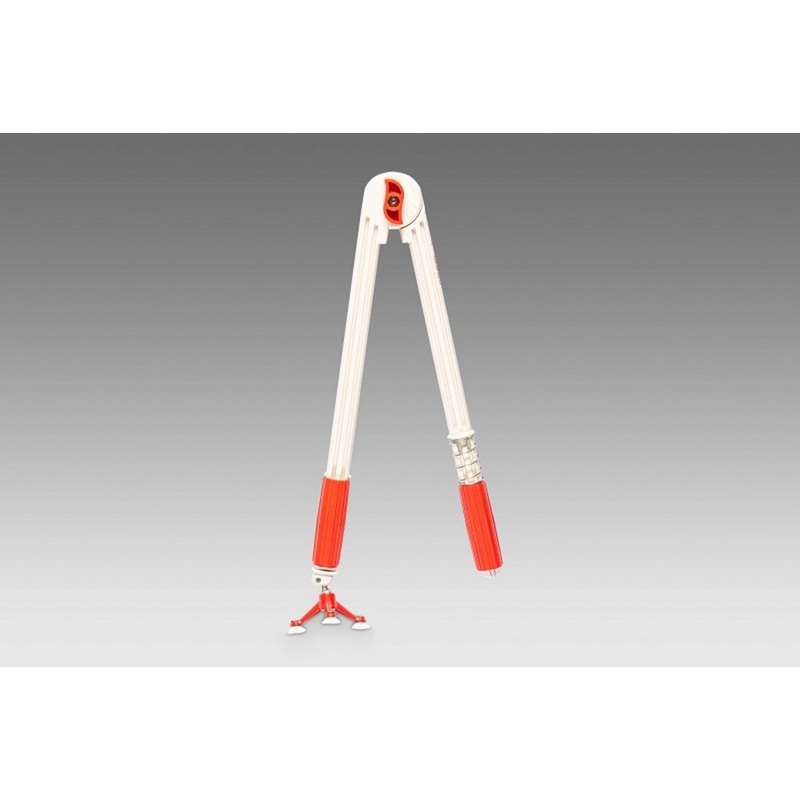 Wissner Teachers Compass