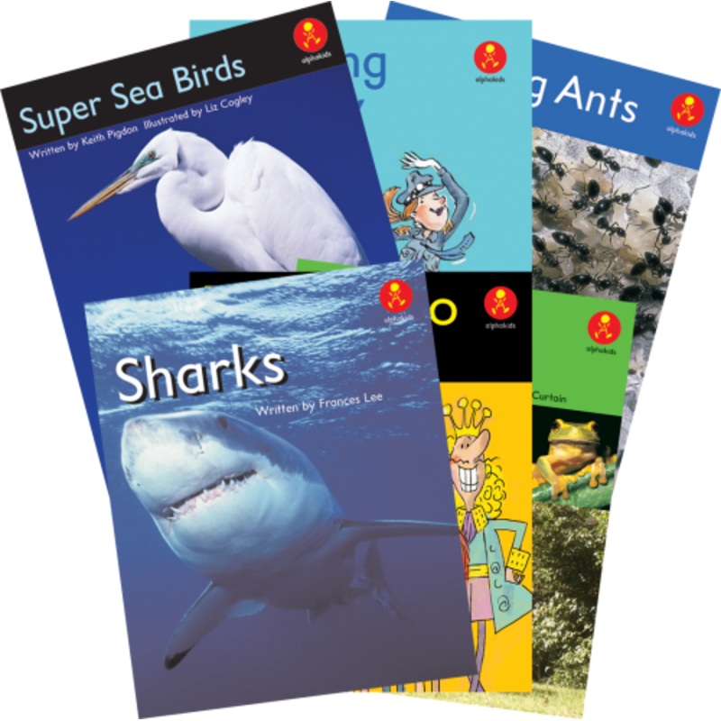 Alphakids Plus Transitional Level 17