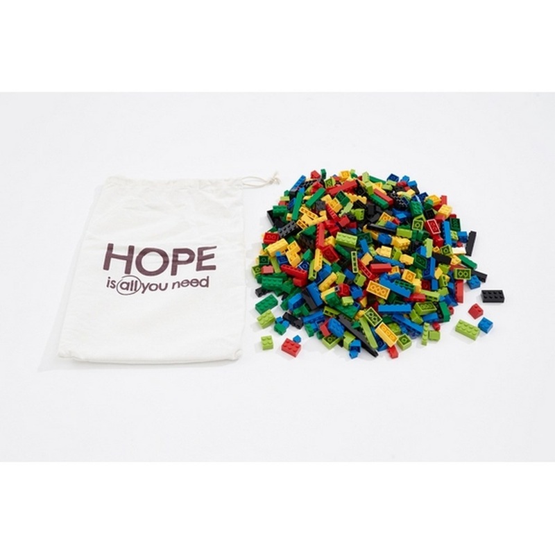 Plastic Bricks in a Bag from Hope Education