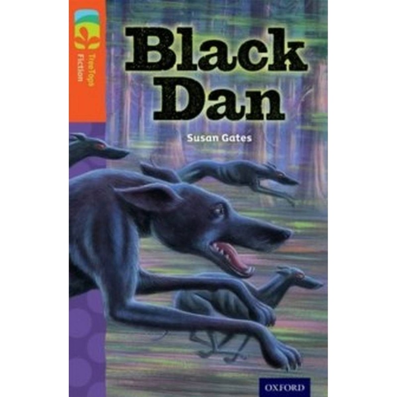 Oxford Reading Tree TreeTops Fiction: Level 13 More Pack A: Black Dan