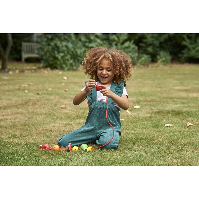 Wooden Lacing Fruits  Pack of 8