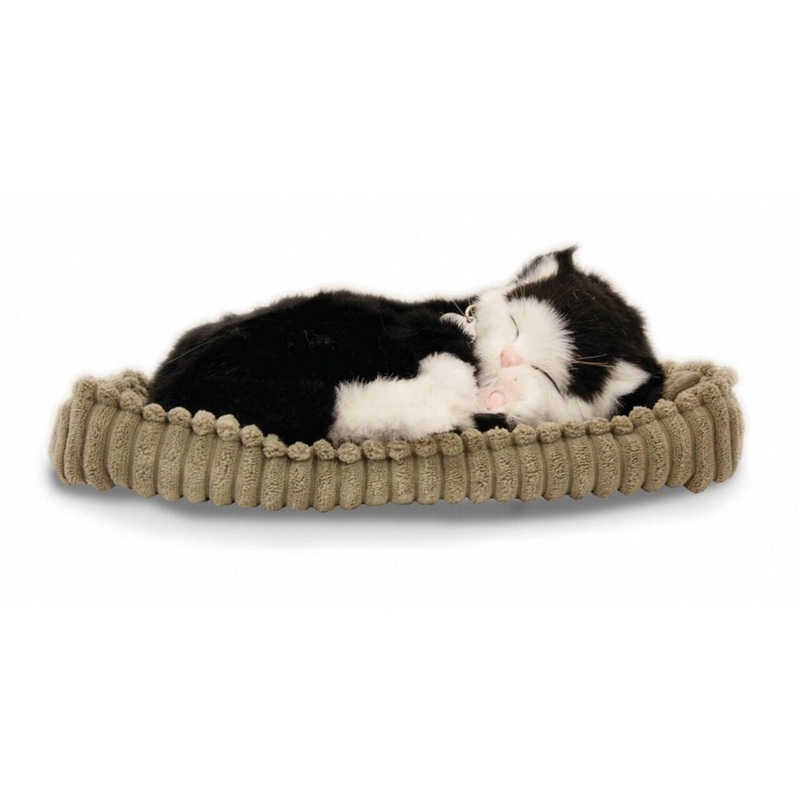 Perfectpetzzz  Sleeping cat black/white