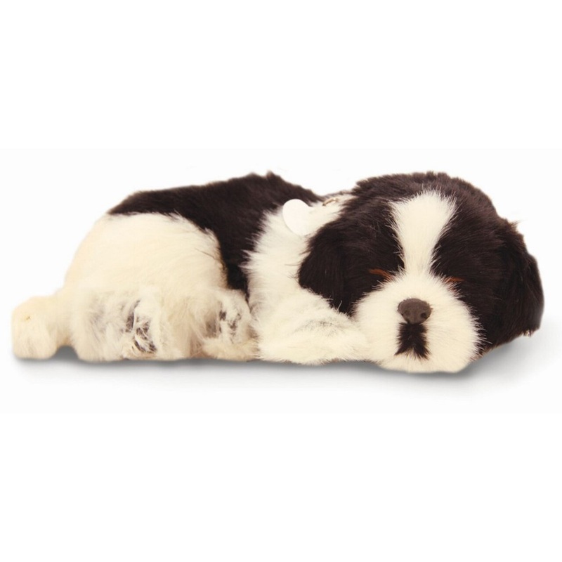 Perfectpetzzz  Sleeping dog Border Colli