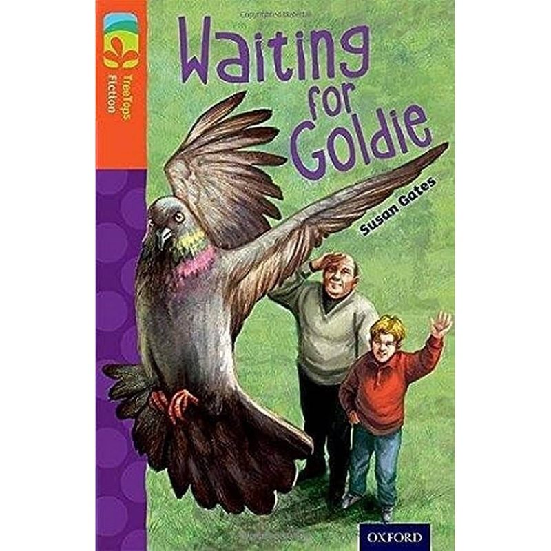 Oxford Reading Tree TreeTops Fiction: Level 13: Waiting for Goldie