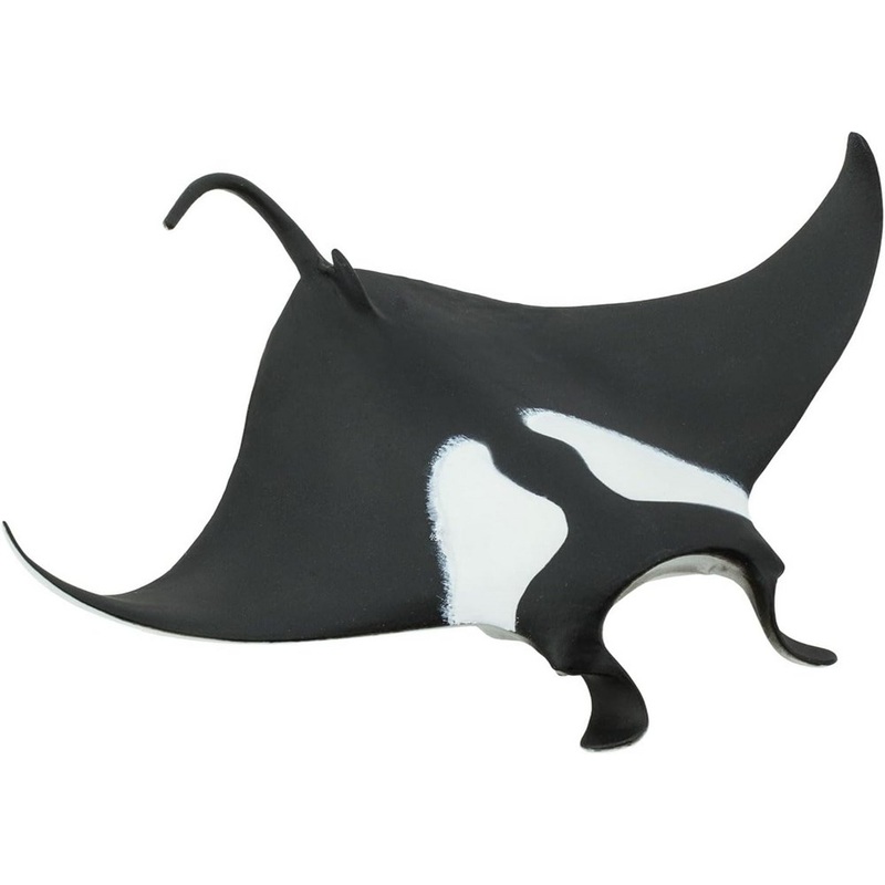 Safari Manta Ray