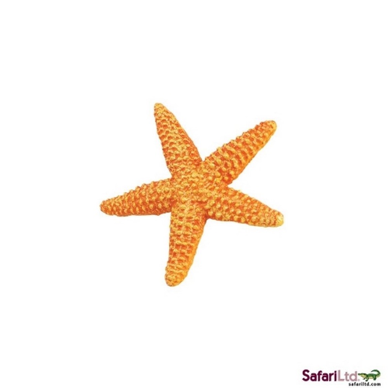 Safari Starfish
