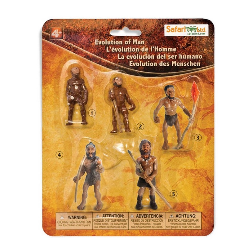 Safari Evolution of Man