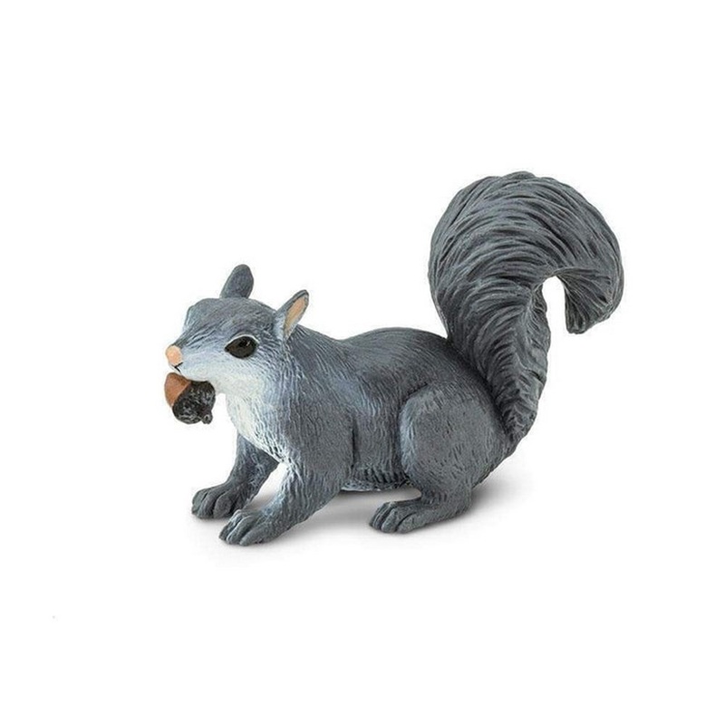 Safari Grey Squirrel