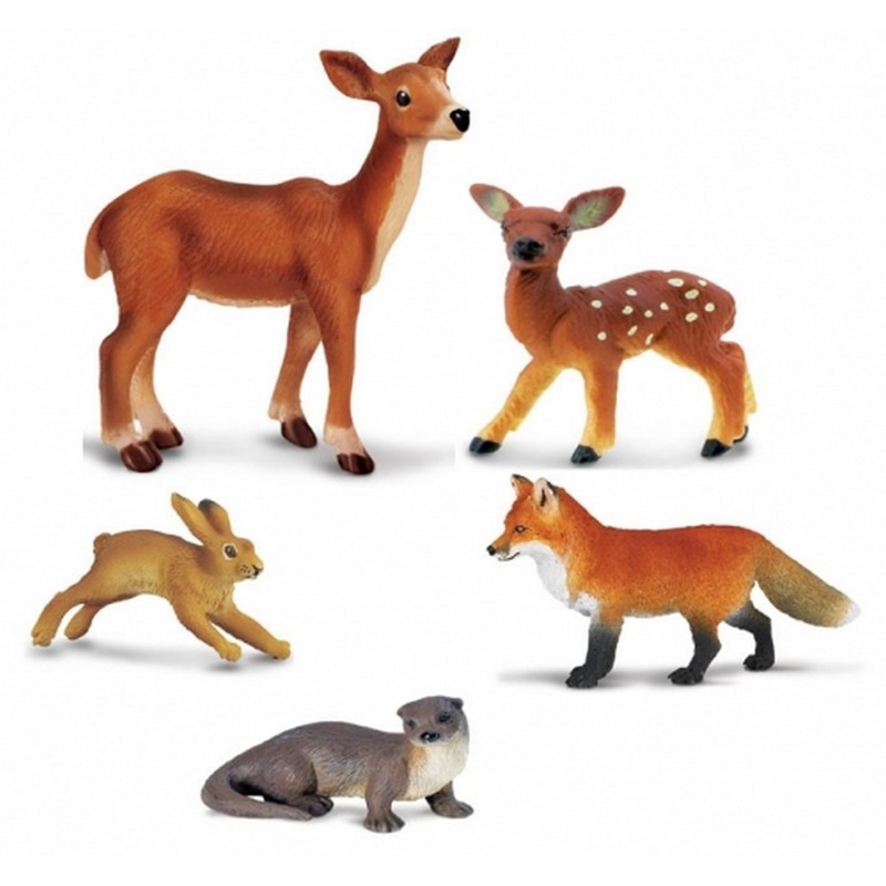 Safari Native Forest Animals