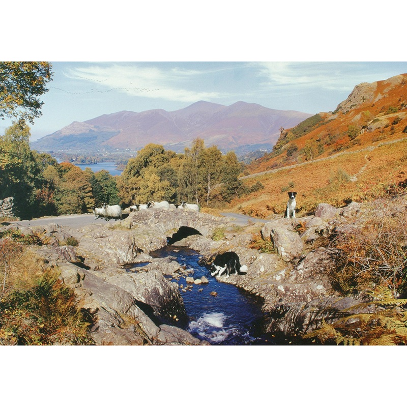 Thirsty Work  1000 Piece Jigsaw Puzzle