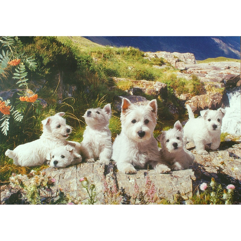 Westies  1000 Piece Jigsaw Puzzle