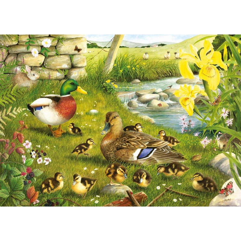 Ducks To Water  BIG 500 Piece Jigsaw Puzzle