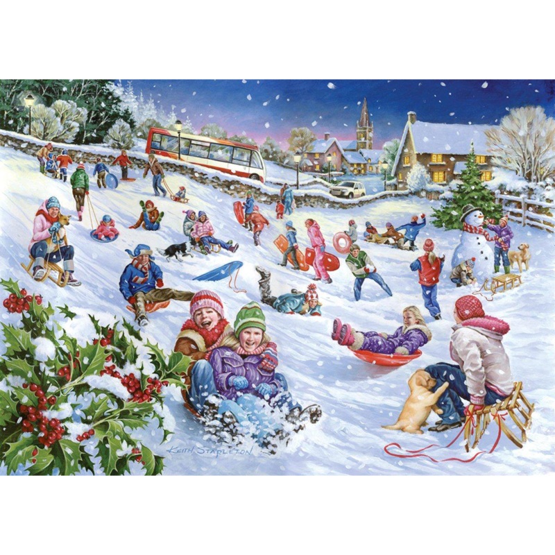 Sledging  1000 Piece Jigsaw Puzzle