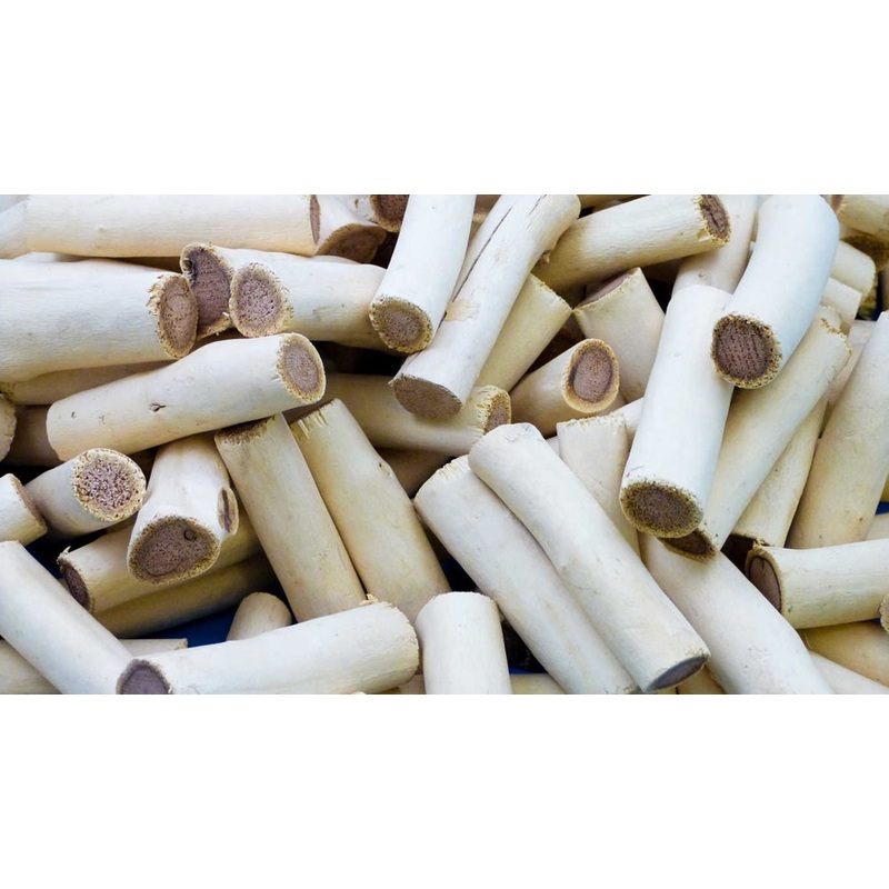 **Washed Azalea Branches