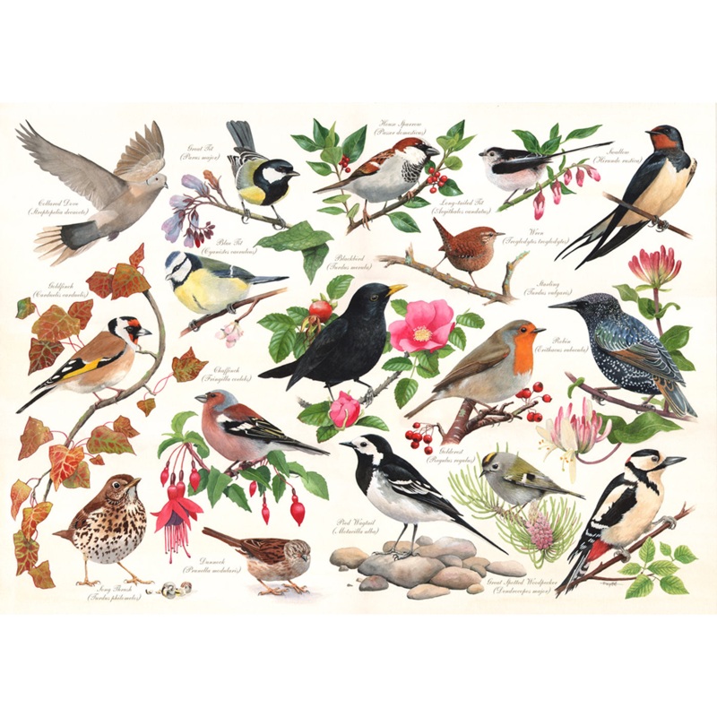 Birds In My Garden  1000 Piece Jigsaw Puzzle