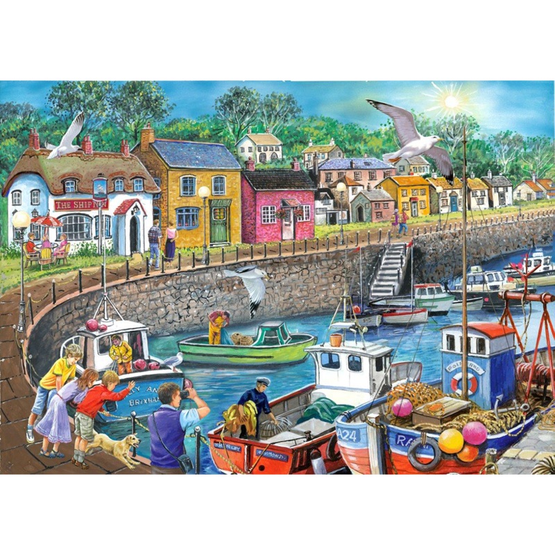 Seagull View  BIG 250 Piece Jigsaw Puzzle