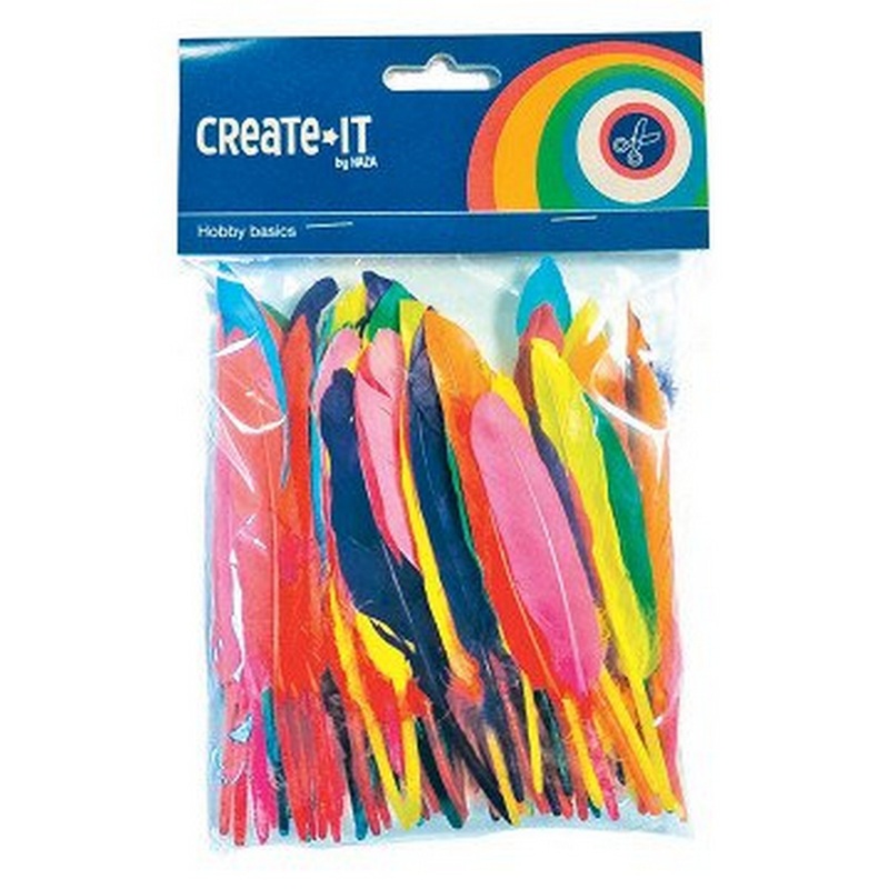 **Feathers Coloured 100 pc
