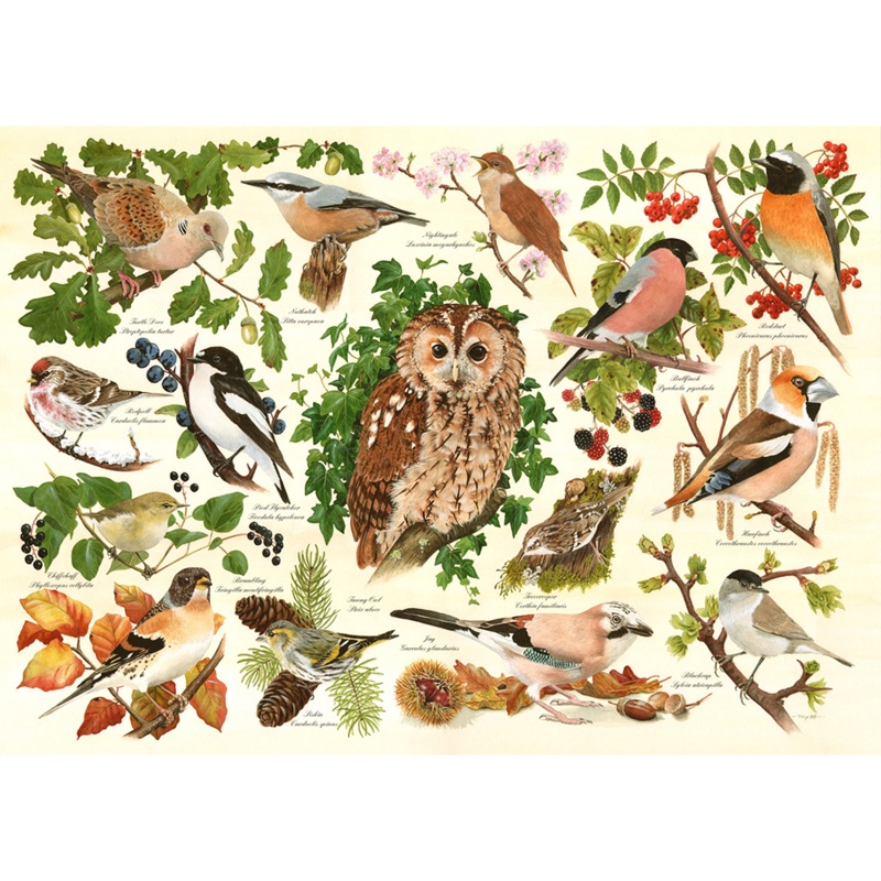 Woodland Birds  BIG 500 Piece Jigsaw Puzzle