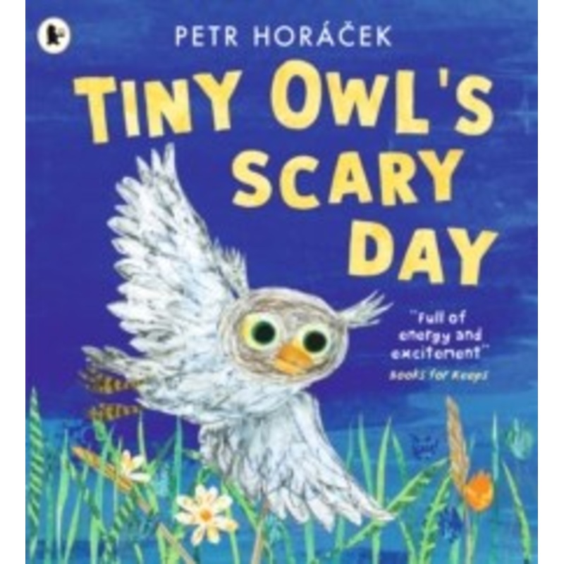 Tiny Owls Scary Day  Petr Horacek