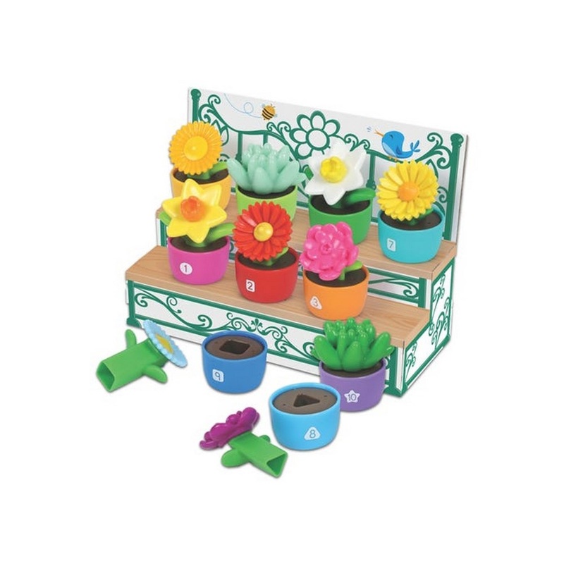 Shape & Colour Garden