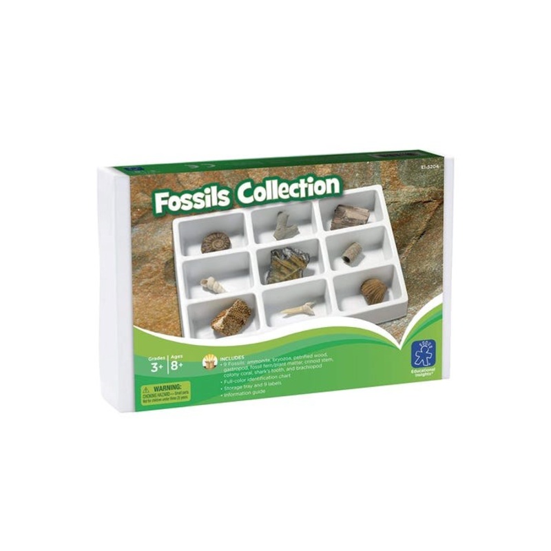 **Fossils Collection