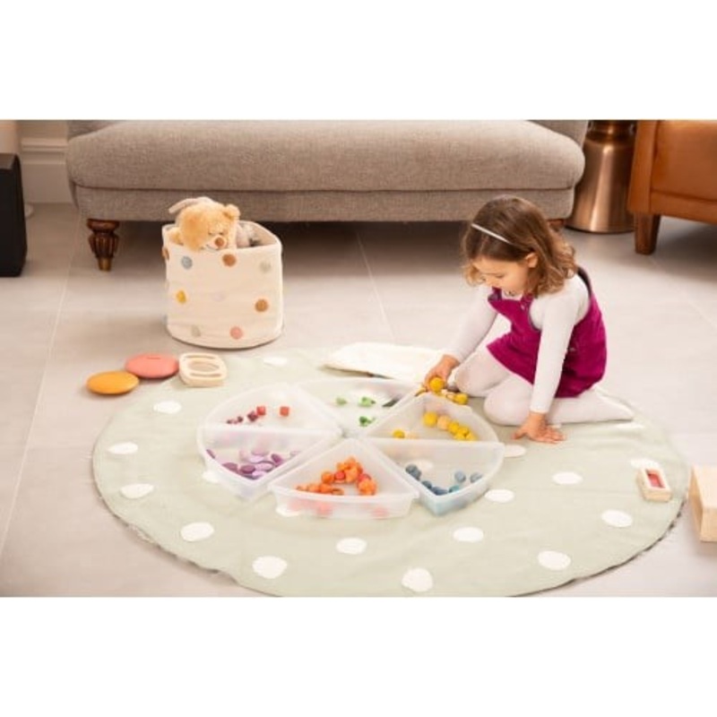 Large Discovery Trays Pack of 6