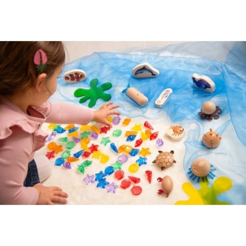 Translucent Colour Shells  Pack 72