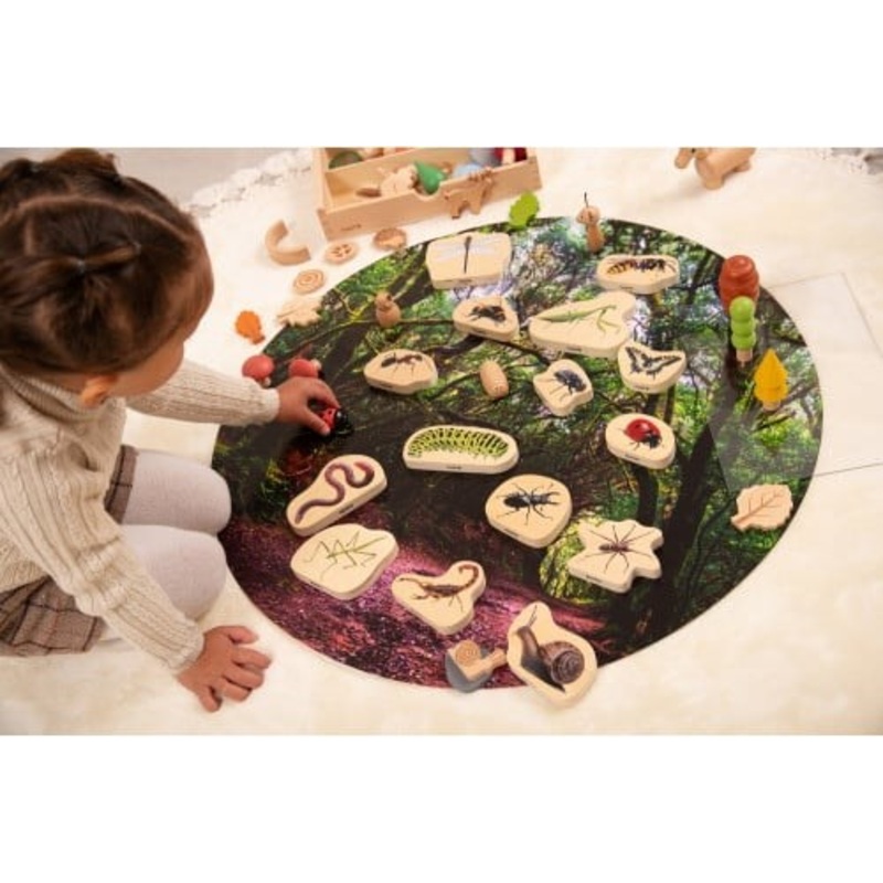 Wooden Minibeast Blocks Pack of 15