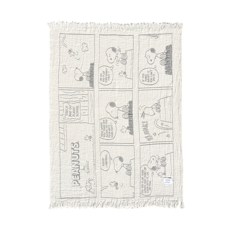 Peanuts Blanket Comic Flightschool
