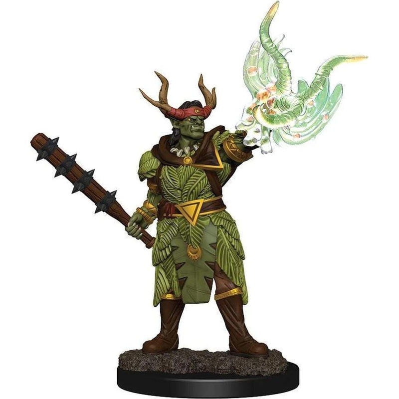 Half-Orc Druid Male Pathfinder Premium