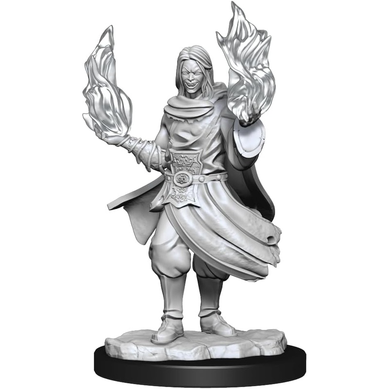 Hollow One Rogue & Sorcerer Male – Critical Role