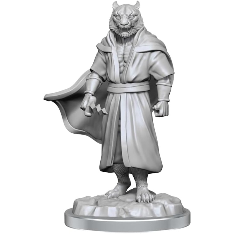 Male Human Sorcerer Merchant & Tiger Demon – Critical Role