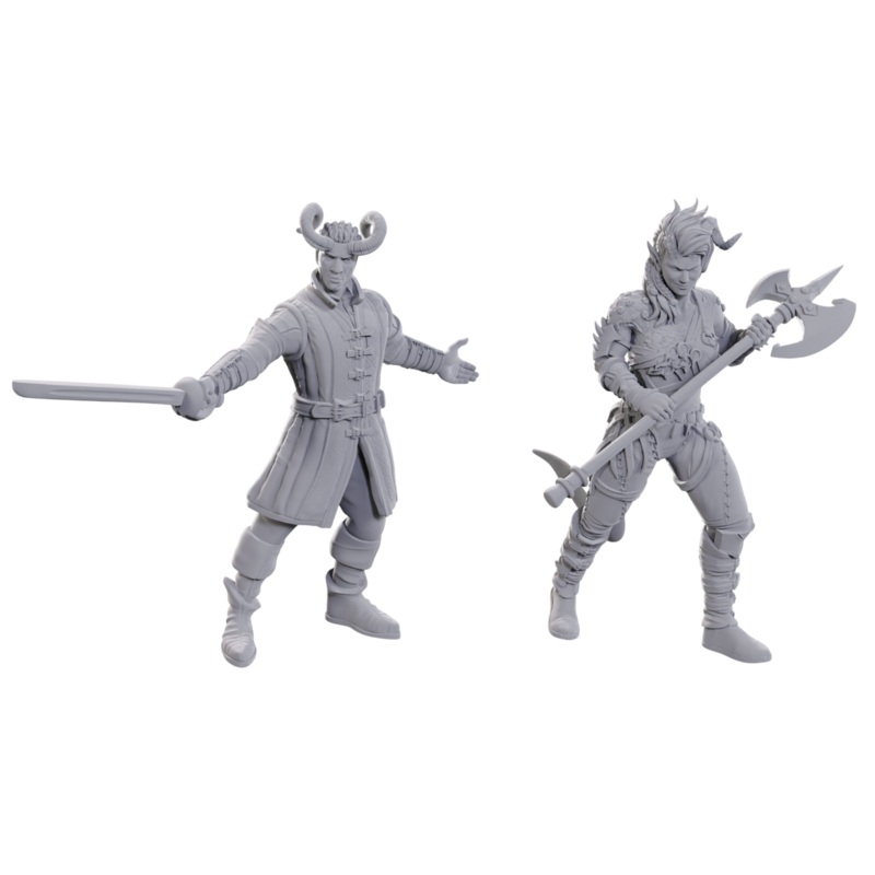 Nolzur BG3 – Wyll & Karlack